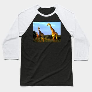 African Wildlife Photography Giraffe Herd Baseball T-Shirt